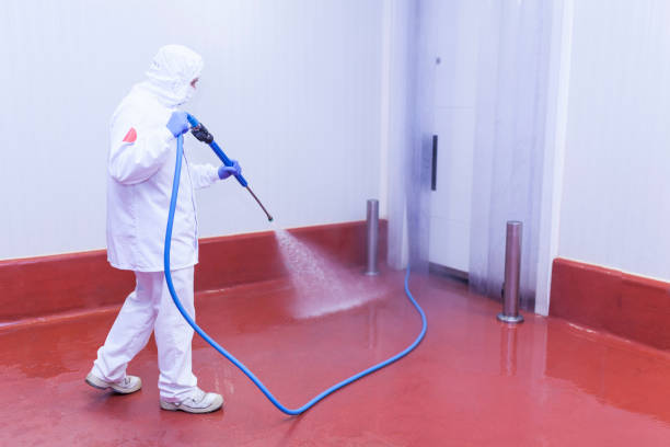 Best Boat and Dock Cleaning  in Clear Lake, WI